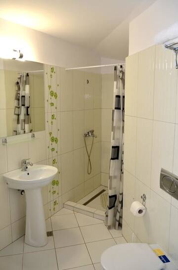 Фото номера Двухместный номер с 1 кроватью Лоджи VILA 5 - IZVORUL MINUNILOR г. Budureasa 3